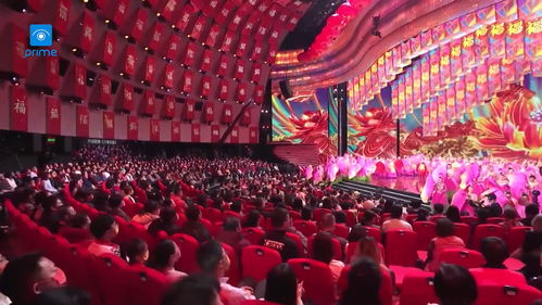 光影视界·丝路扬帆——巴西中国影视作品展播季献礼百年华诞